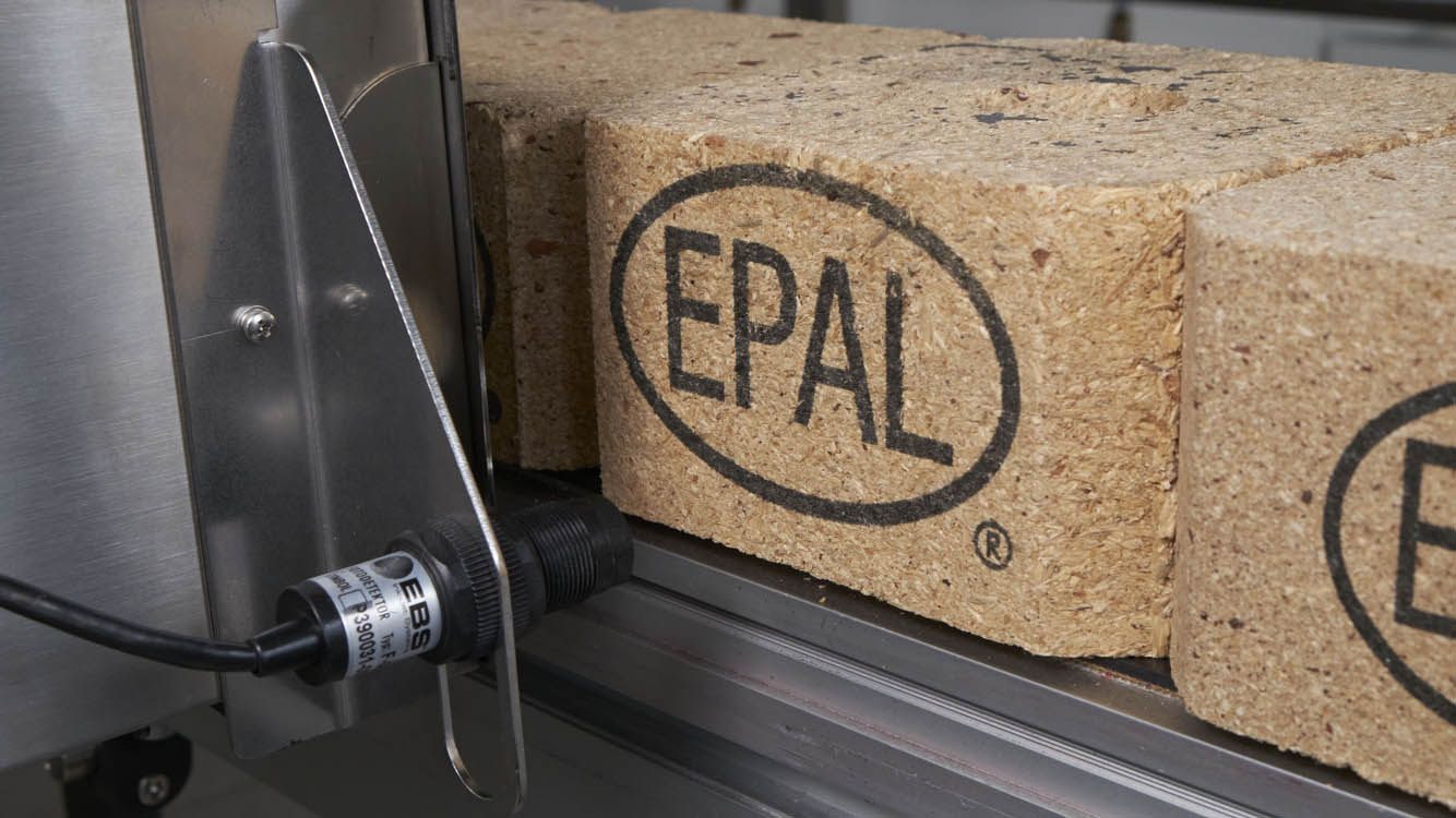 Epal.jpg